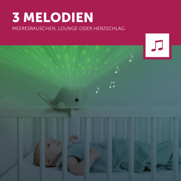 De Wally 3 3 Melodies Lr