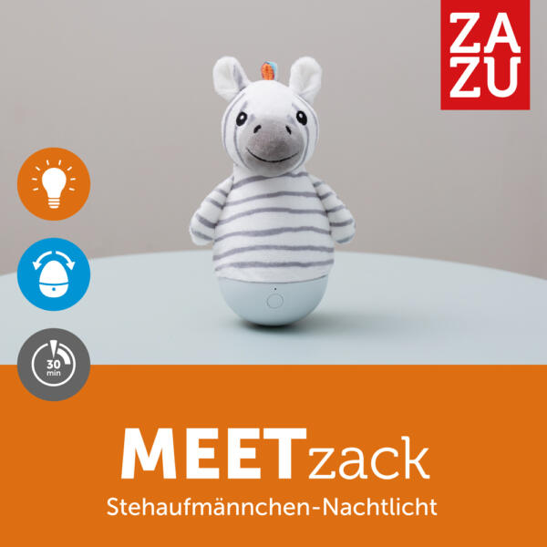 14 107542 Zack Das Zebra Mit Text 1