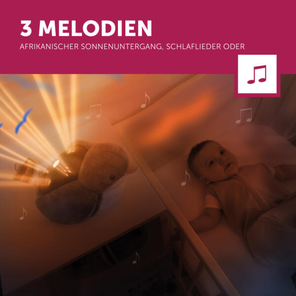 De Shally 4 3 Melodies Lr